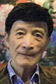 Ван Чжэнъюй