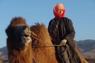 Юй Нань
