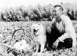 Тень Чэнцзэнь