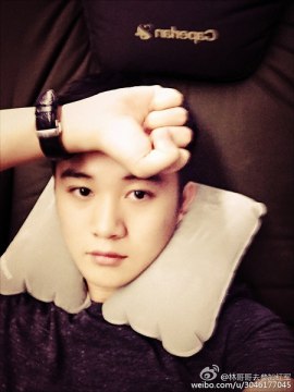 Чжан Сяолинь (3)