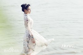 Гао Идань (1)