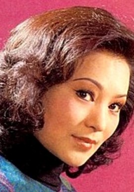 Хуа Чжэньчжэнь