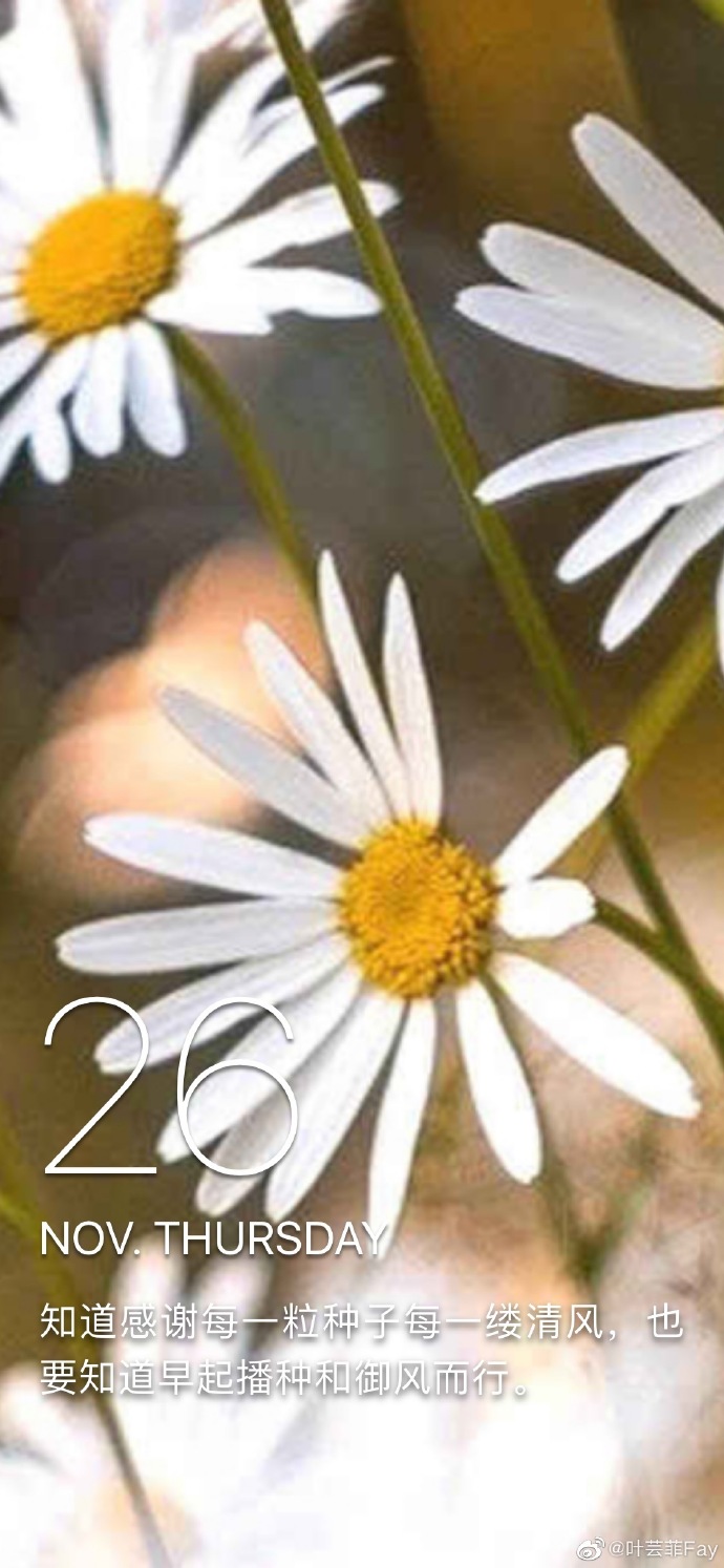 poster